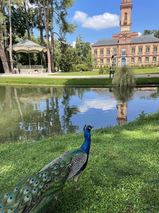 Charmant T2 Avec Grande Terrasse Quartier Jardin Massey ตาร์บ ภายนอก รูปภาพ